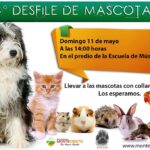 10170697_680251462035677_410732691950134186_n