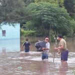 11024960_10153158856314801_2094464437_o (2)