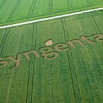 syngenta