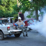 ronograma de fumigaciones