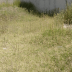 Screenshot_40