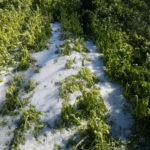 Screenshot_9