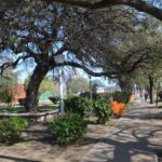 parque1