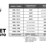 Internet Infografia-01