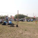 plantacion 3