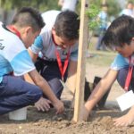 plantacion2