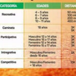 categorias