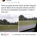 publicacion
