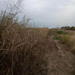 Fumigaciones en Monte Cristo