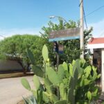 9d9fbb9c-fa35-4998-b971-31f527d1fd3a