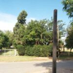 f5252f4c-5e74-4c1d-b45d-8652715e2f28