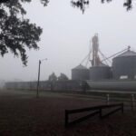 Neblina Monte Cristo