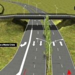 WhatsApp Image 2018-05-02 at 11.40.48