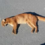 WhatsApp Image 2018-05-25 at 11.11.13