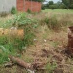Terreno baldío