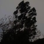 alerta fuertes vitntos