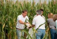 Capilla de los Remedios: La FCA organiza la octava chocleada solidaria