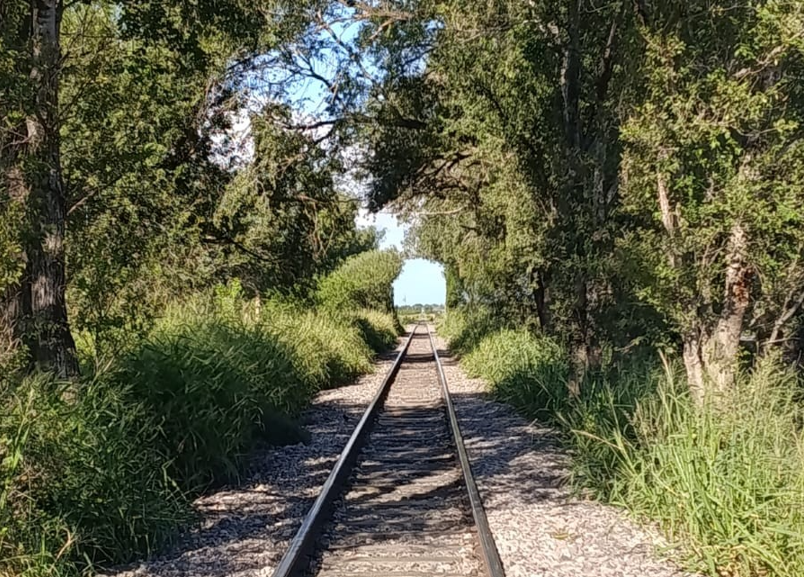 Tunel árboles en unas vías de tren