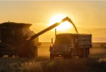 Crece la tensión con el campo: críticas al aumento de retenciones