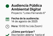 AUDIENCIA PÚBLICA AMBIENTAL DIGITAL