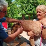 Vacunacion-mascotas-Estacion-Juarez-Celman-10