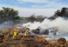 Incendio de rollos de alfalfa movilizó a bomberos de cinco localidades en Sagrada Familia Bomberos durante el operativo por un incendio de rollos de alfalfa en Sagrada Familia