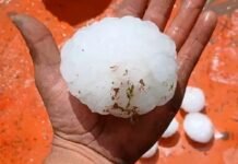Granizo de gran tamaño provocó daños en cultivos y vehículos en distintos puntos de Córdoba Piedra de granizo de gran tamaño sostenida sobre una mano