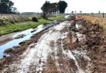 La Provincia licitó un plan de caminos rurales que incluye al departamento Río Primero Camino rural de tierra con barro, huellas profundas y grandes charcos entre campos cercados