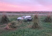 Río Primero: dos conductores resultaron lesionados tras un choque en la Autovía 19 Pick-up antigua dañada junto a una vía, entre pastizales