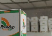 Capilla de los Remedios: hallaron agroquímicos denunciados como sustraídos Caja de herbicida en primer plano y otros envases desenfocados al fondo
